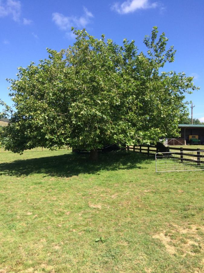 Hunua Ranges Bed and Breakfast Εξωτερικό φωτογραφία